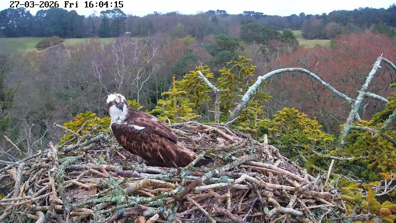 youtube-X62J9Jdm6Ao-2026-03-27T16-08-05-056Z