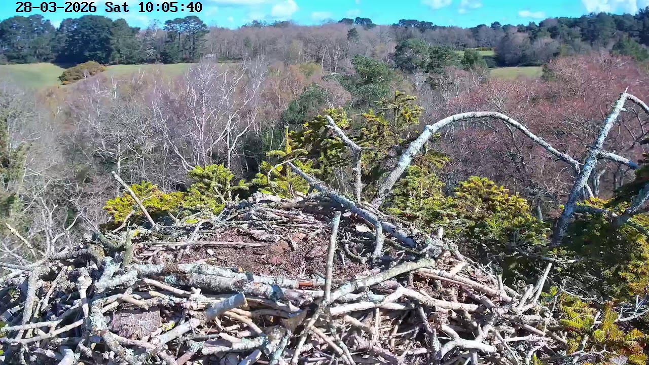 youtube-X62J9Jdm6Ao-2026-03-28T10-08-29-017Z