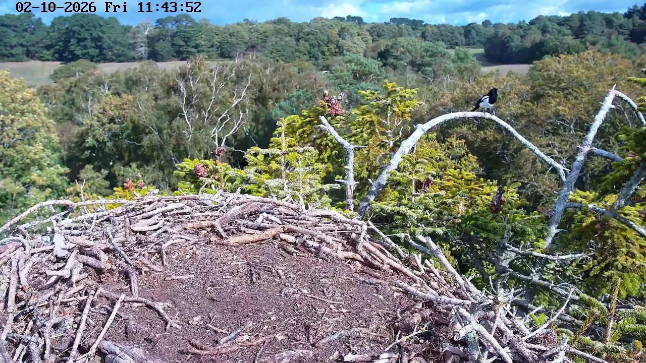 youtube-pLOUQ0xFgyw-2026-10-02T10-44-58-146Z